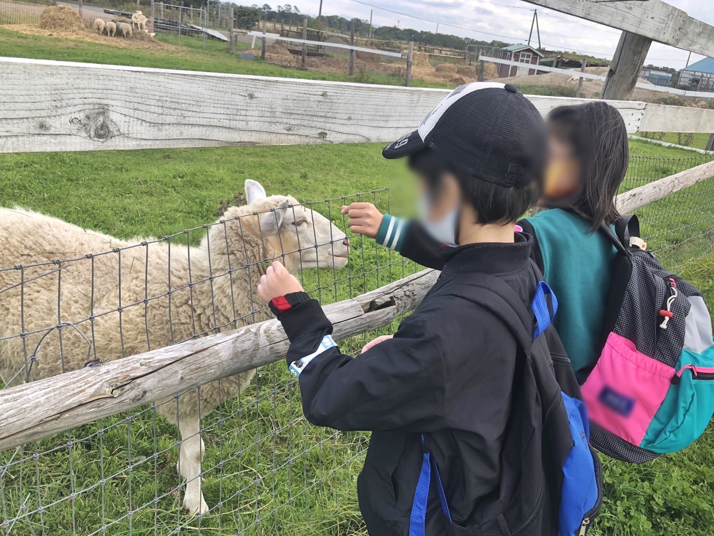 動物たちとのふれあい 札幌市白石区の学習に特化した児童発達支援デイサービス そらいろネクスト